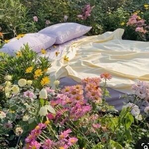 Meet your Posher, Ella